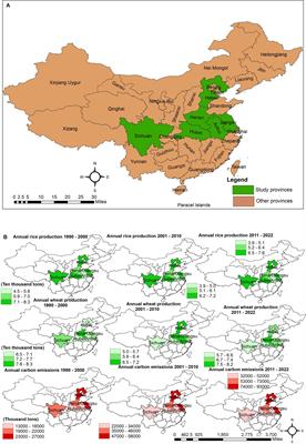 Do agricultural credit, wheat, and rice production impact environmental quality? Novel evidence from China’s mega agricultural regions